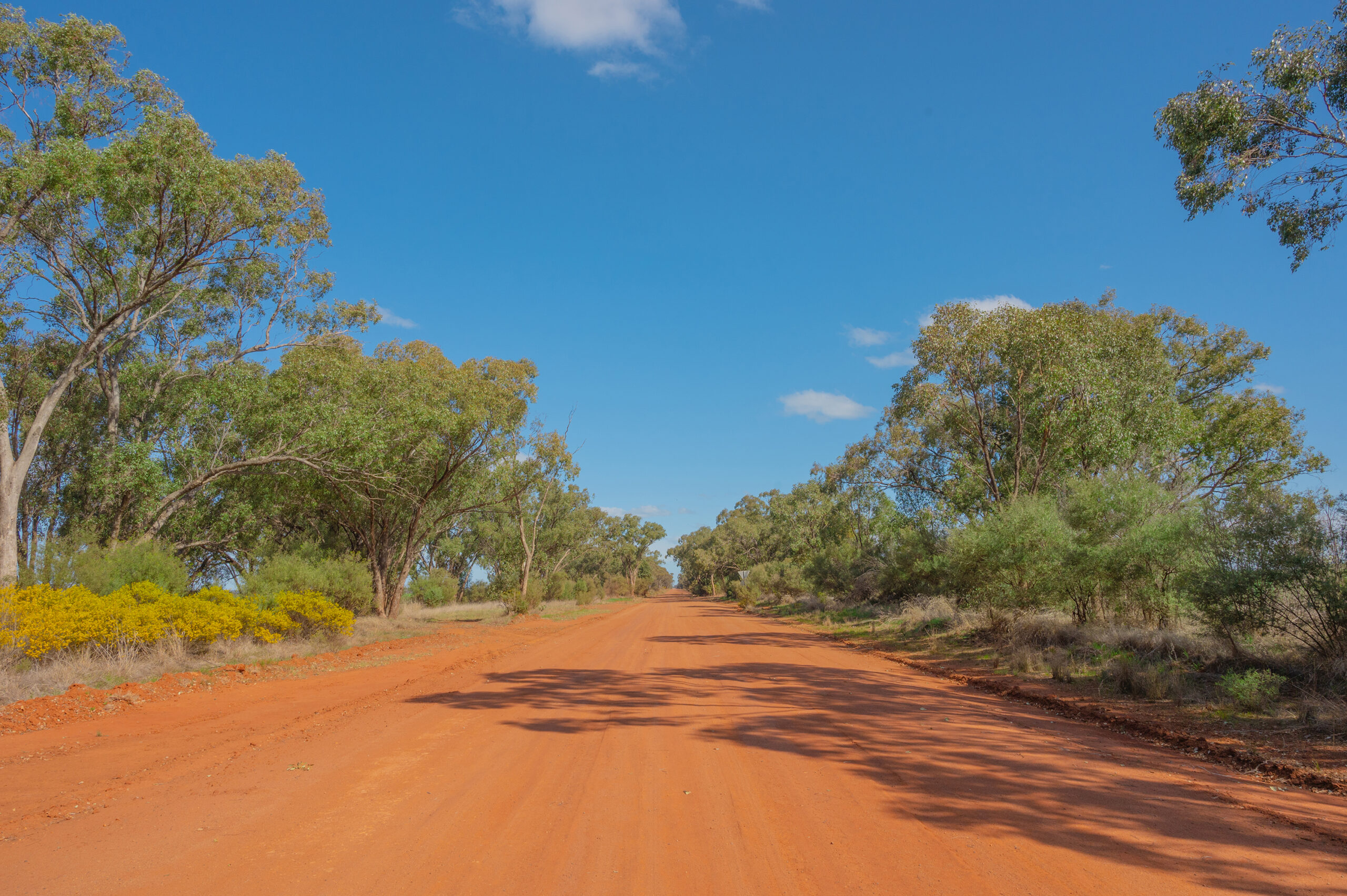 The outback - www.visitlachlanshire.com.au